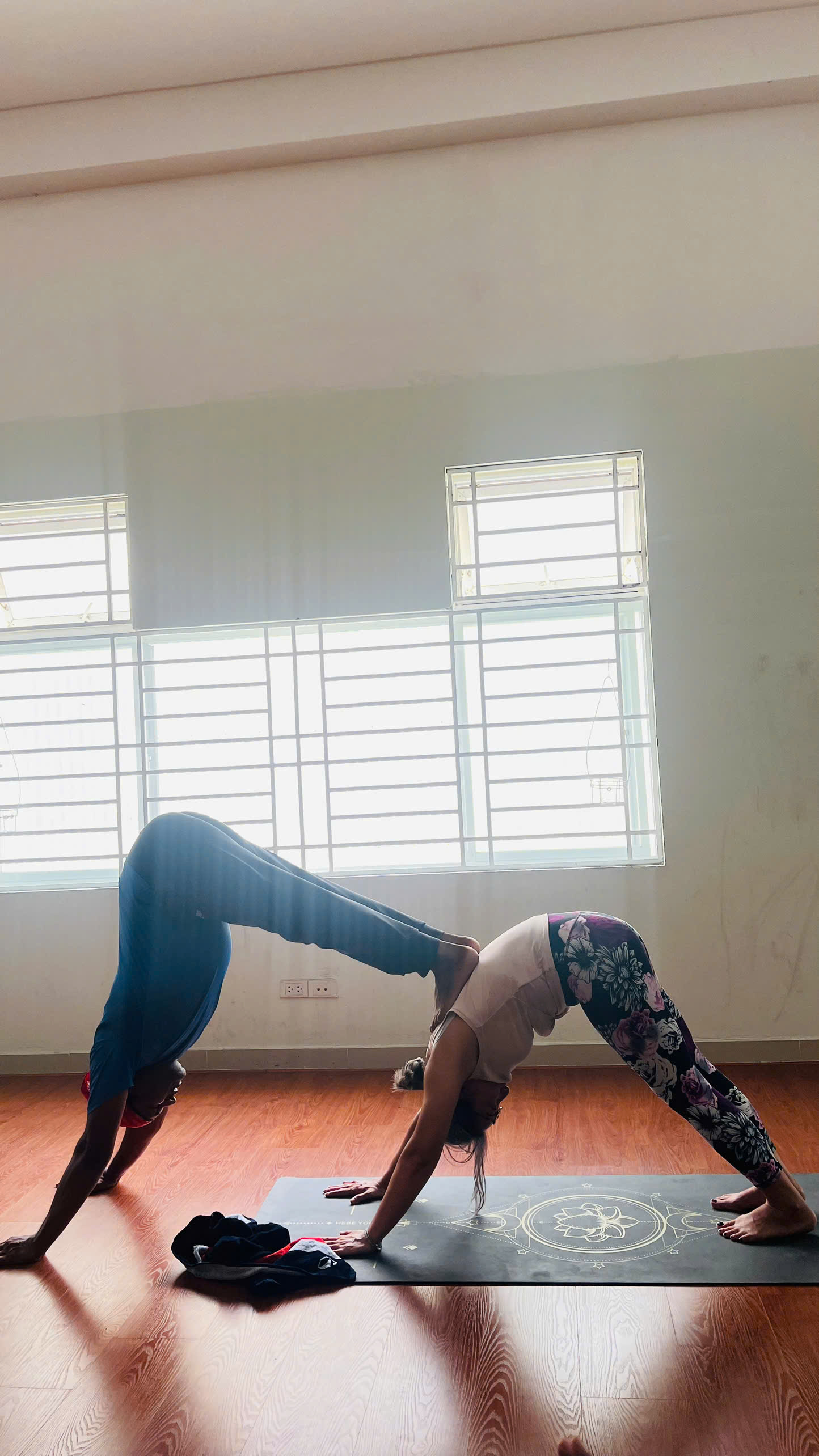 CLB Yoga Ấn Độ hình ảnh 3