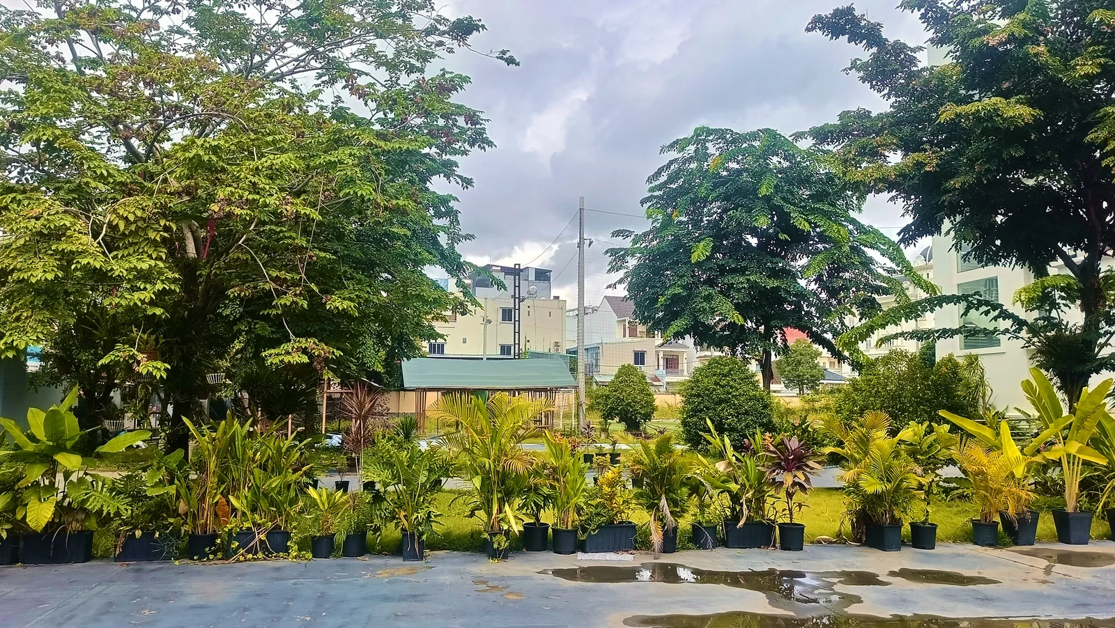 Hoa viên sinh thái cây xanh